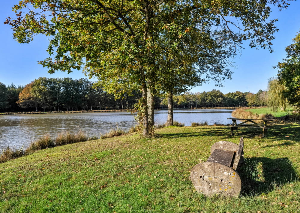 Aire De L Tang De Villechaume Sologne Tourisme