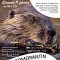 Sortie nature 'Sur les traces du castor' à Romorantin-Lanthenay