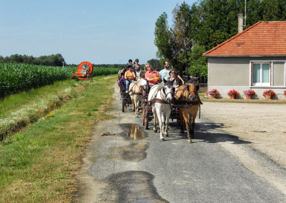 centre equestre tour en sologne