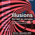 Exposition : Illusions - De l'oeil au cerveau