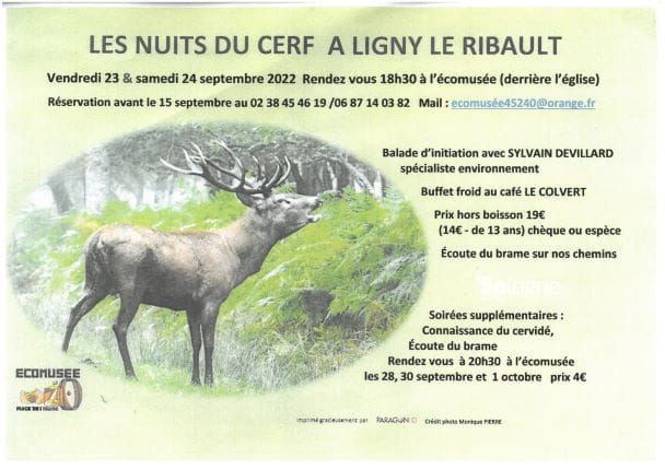 Les nuits du cerf à Ligny-le-Ribault