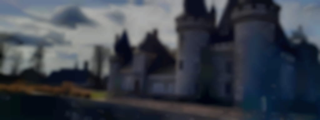Visites historiques au château de Sully 