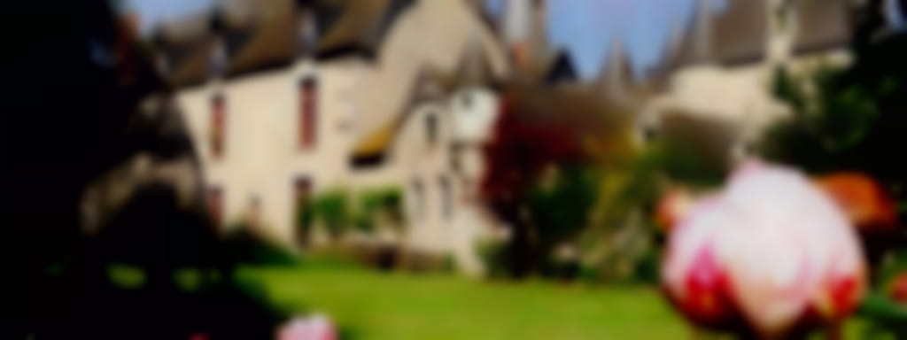 Rendez-vous aux Jardins au Château de Fougères-sur-Bièvre