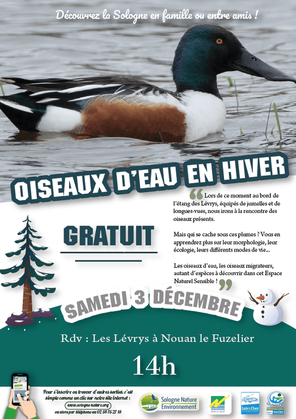 Sortie Sologne Nature Environnement 'Oiseaux d'eau en hiver' à l'Étang des Levrys de Nouan-le-Fuzelier