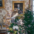 Noël au château de Cheverny