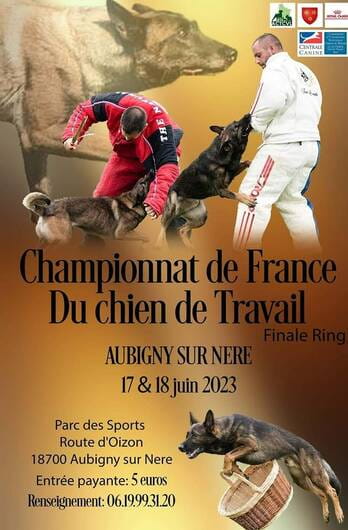 Championnat de France du chien de travail